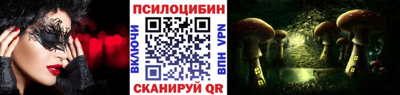 блэк спрут   Новохопёрск  Псилоцибиновые грибы Psilocybe 